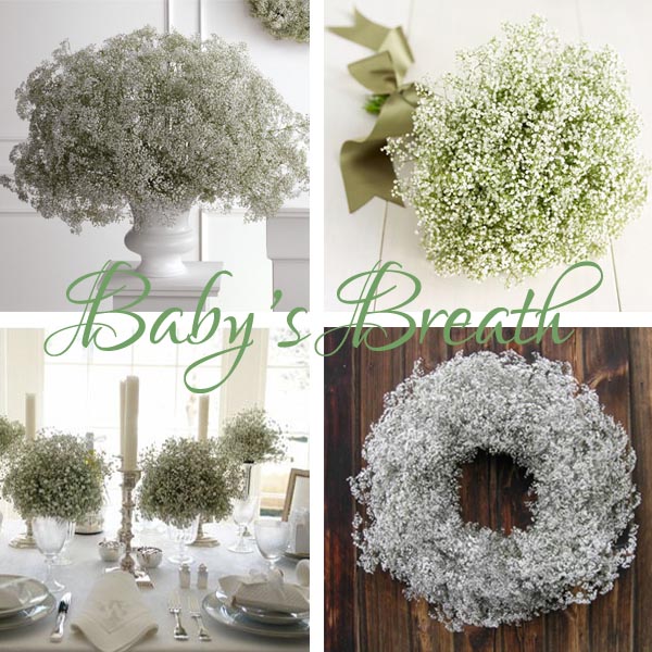  decorations and centerpieces to solely baby's breath for their wedding 